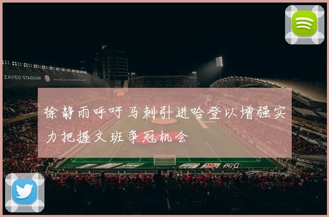 徐静雨呼吁马刺引进哈登以增强实力把握文班争冠机会